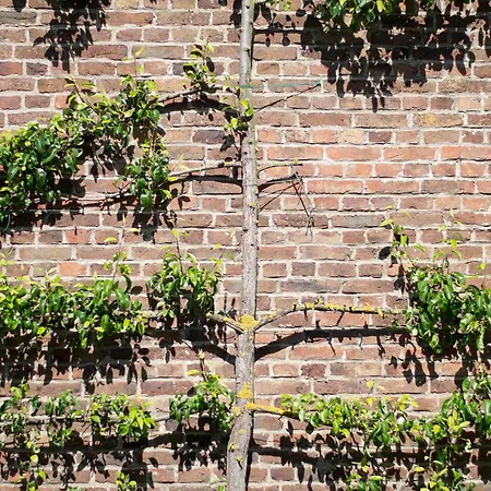 Feriehus Huize Mesch