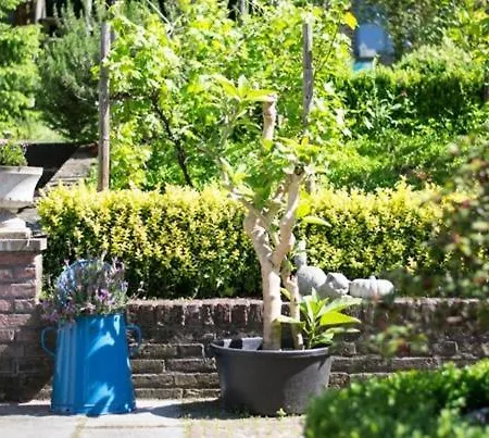 Huize Mesch בית נופש *