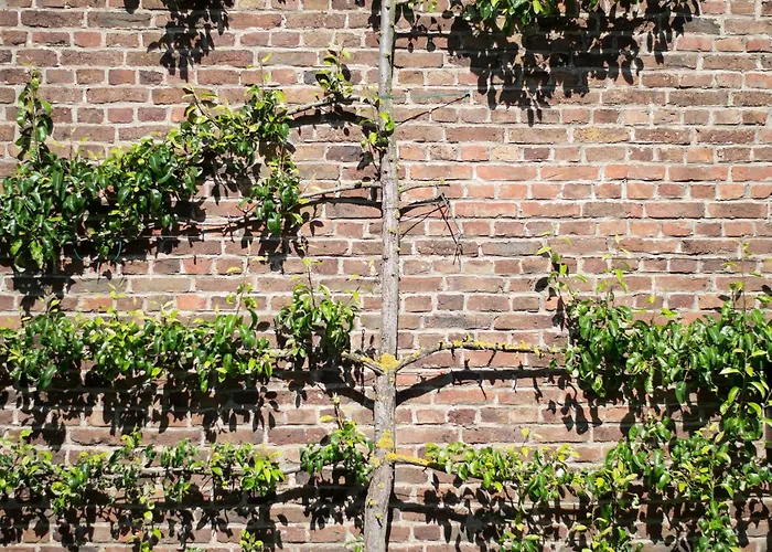 Сasa de vacaciones Huize Mesch